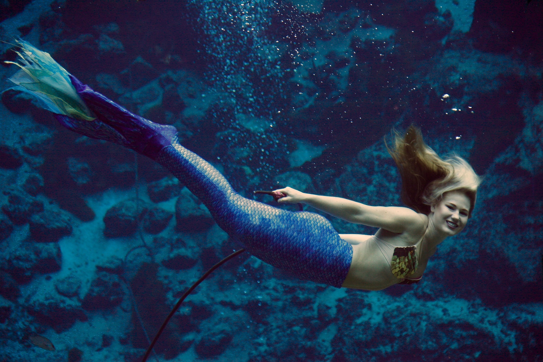 Want To See A Mermaid Dreaming To Be A Mermaid You Can Do Both