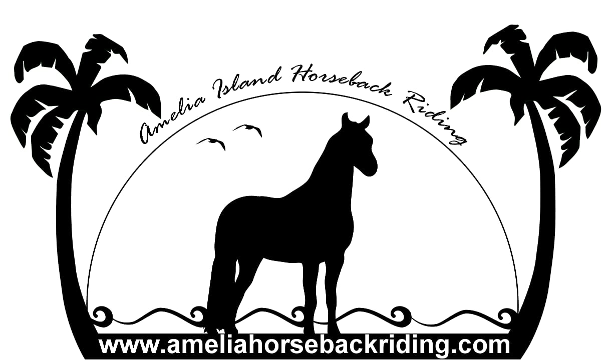 AMELIA ISLAND HORSEBACK RIDING