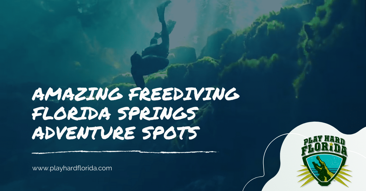 Freediving Florida Springs