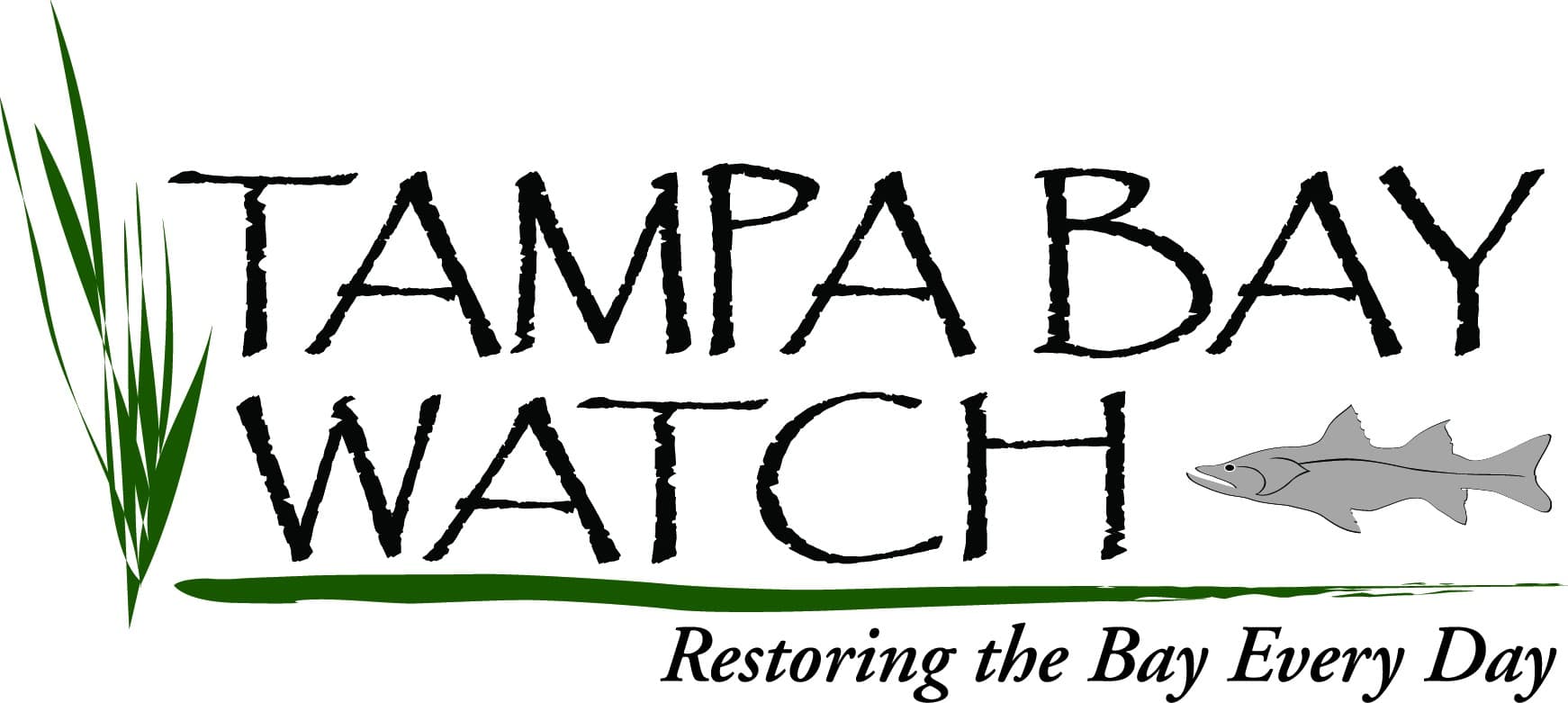 TAMPA BAY WATCH